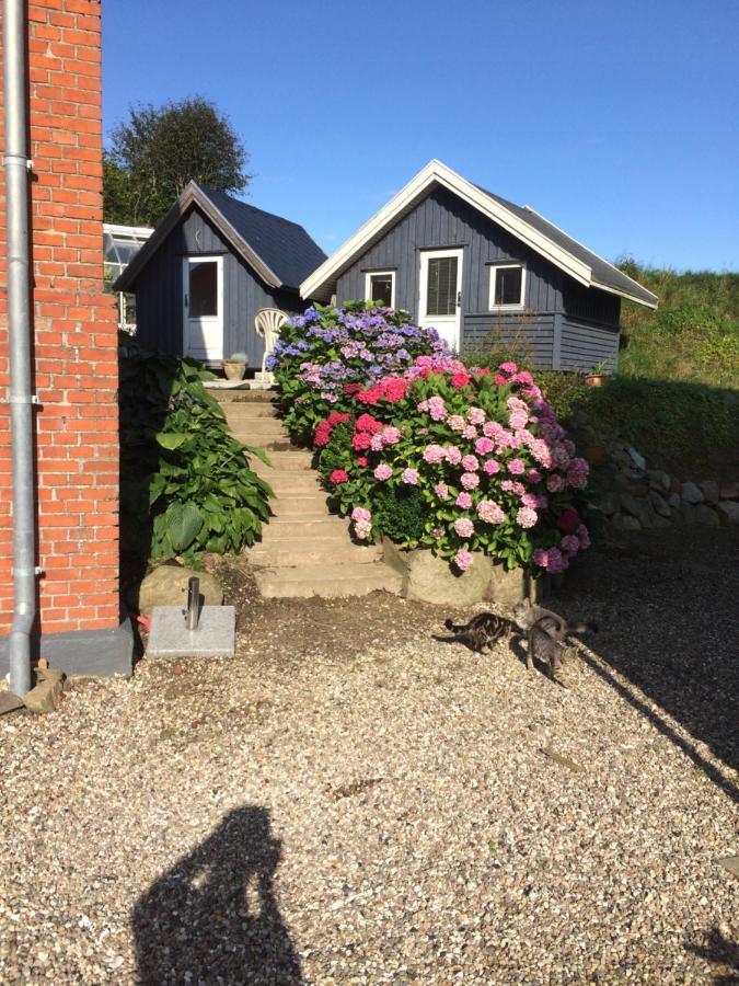 Brorup Kjaersgaard, Hygge, Ro, Natur Og Landliv Skanderborg Exterior foto
